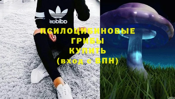 ешки Арсеньев