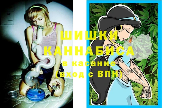 твердый Армянск