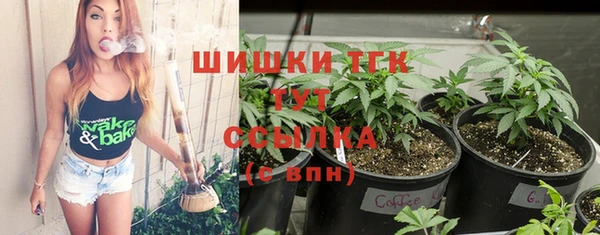 ешки Арсеньев
