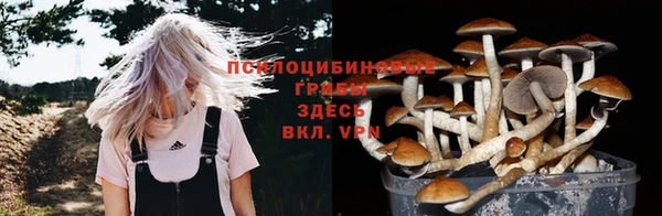 ешки Алексин