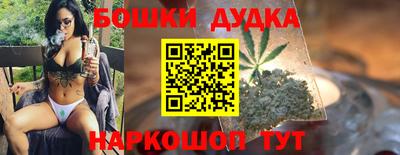 Альфа ПВП Малгобек