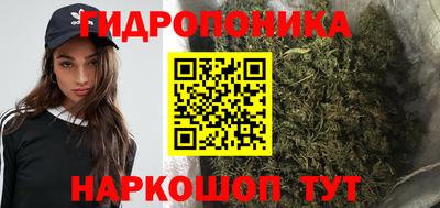 Альфа ПВП Малгобек