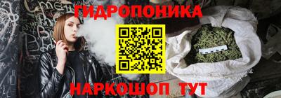 Альфа ПВП Малгобек