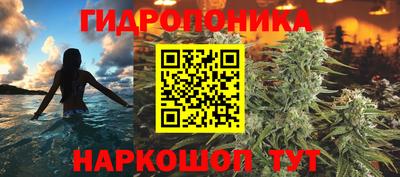 Альфа ПВП Малгобек