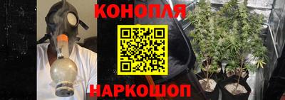 PSILOCYBIN Малоярославец
