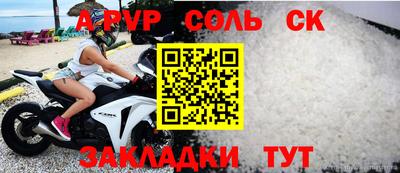 Альфа ПВП Малгобек