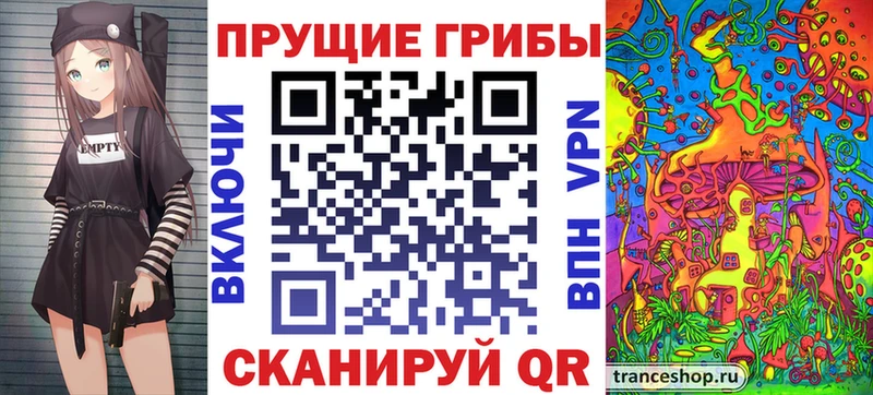 купить наркотик  Пушкино  Галлюциногенные грибы Psilocybe 