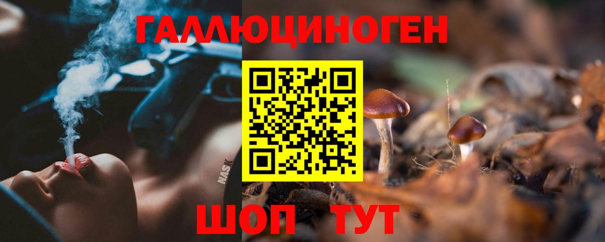 Пушкино  Псилоцибиновые грибы Psilocybine cubensis  Вход с VPN 
